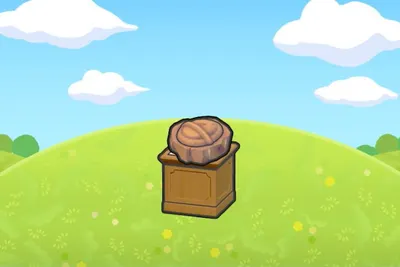 Armor Fossil display