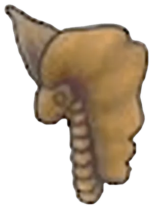 Tundra Fossil (head)