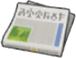 Newspaper
