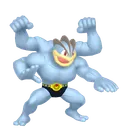 Machamp