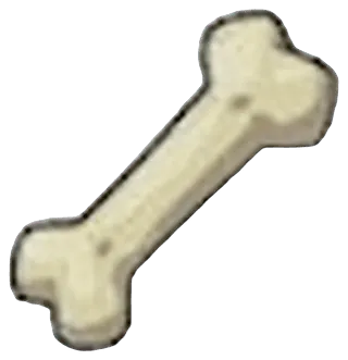 Rare Bone