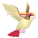 Pidgeot