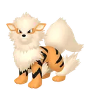 Arcanine