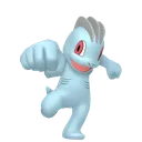 Machop