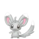 Minccino