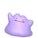 Ditto