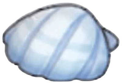 Seashell