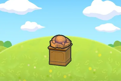 Skull Fossil display