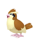 Pidgey